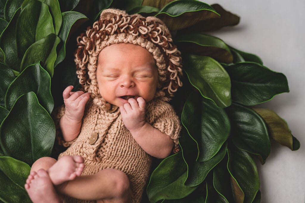 In studio newborn photos