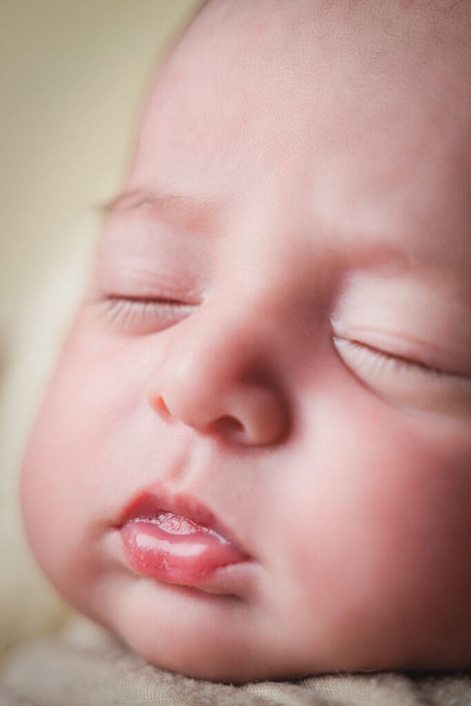Newborn posed with soft neutral blankets
