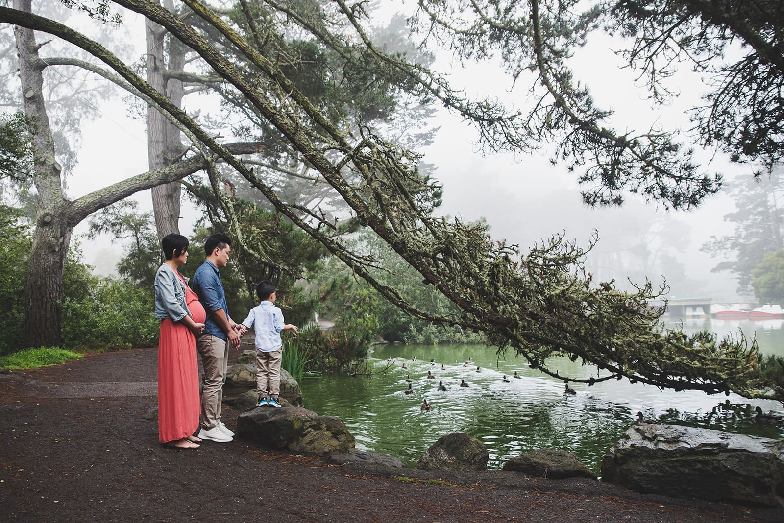 Playful family photo session at Blue Heron Lake in Golden Gate Park with water views, a cute white bridge and tree line paths. 