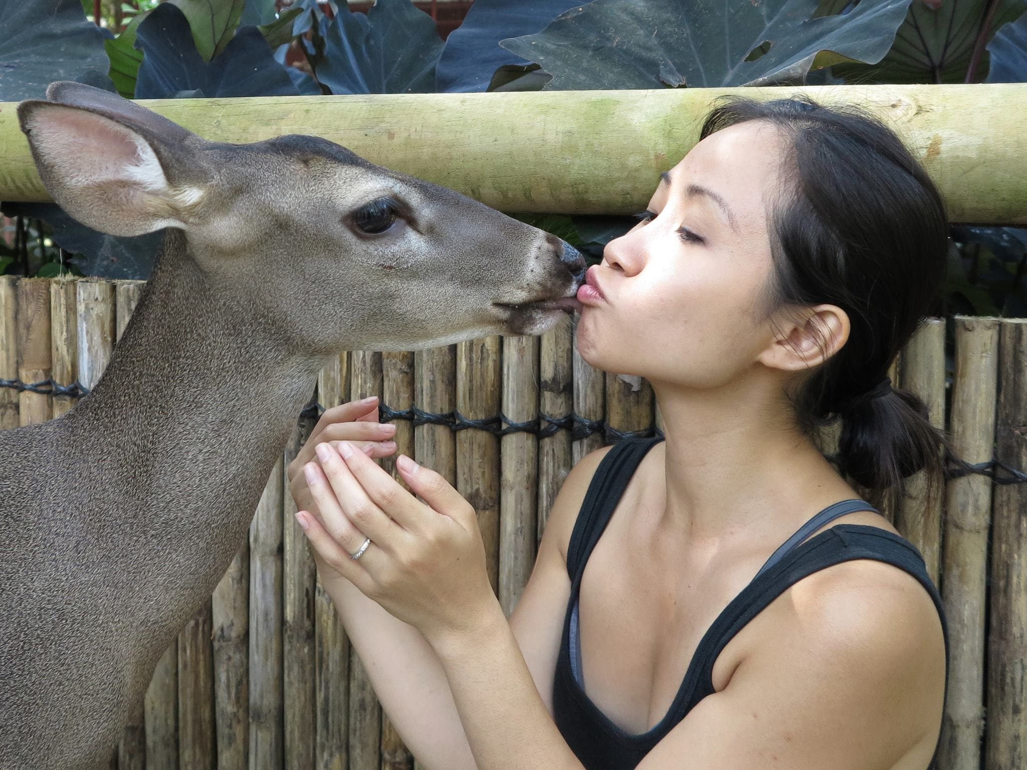 From Costa Rica to San Anselmo: The Story Behind My Wildlife Portraits | Mini Anna Photography4