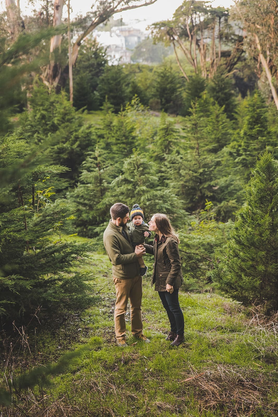 Family photos at Lovers Lane in the Presidio surrounded by eucalyptus trees and soft forest light