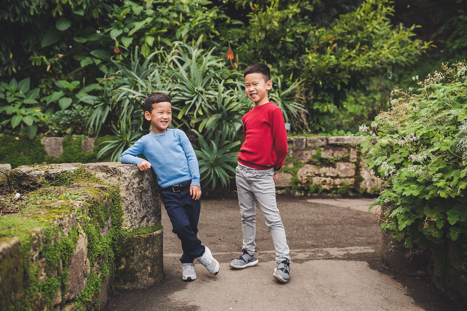 Family photography session at San Francisco Botanical Garden with lush greenery and kids exploring garden paths