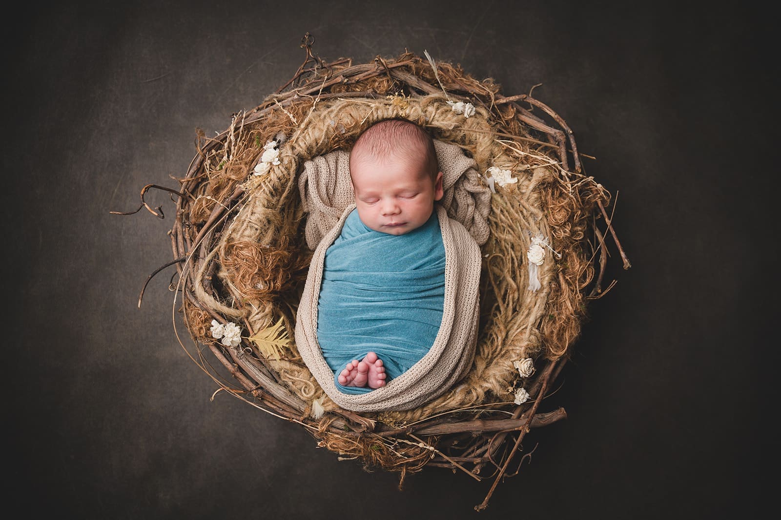 Bay Area baby milestone photography by mini anna photography